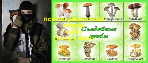 круглые Пересвет