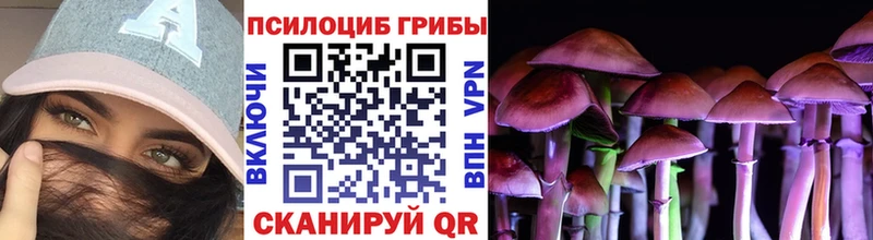 MEGA ТОР  Удачный  Галлюциногенные грибы Psilocybine cubensis  продажа наркотиков 